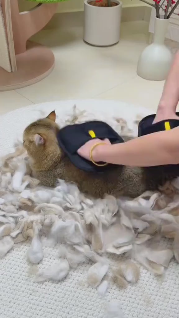 Premium Tierhaarentferner Handschuh